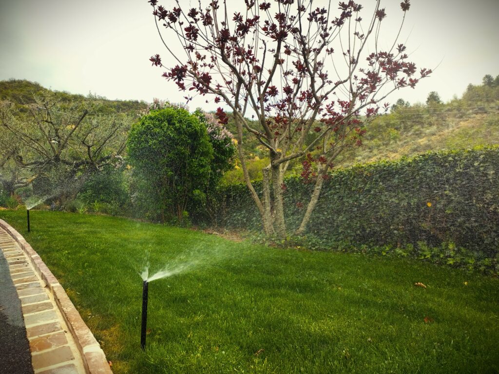 IMG_20230426_190928587